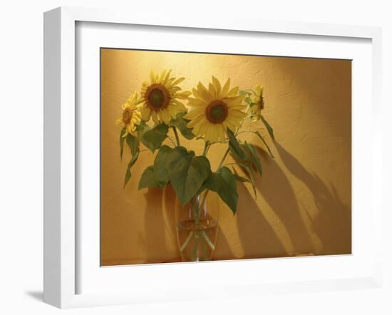 Sunflowers-Anna Miller-Framed Photographic Print