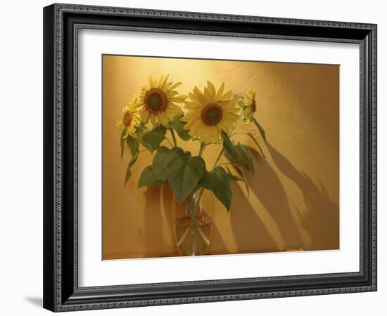 Sunflowers-Anna Miller-Framed Photographic Print