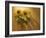 Sunflowers-Anna Miller-Framed Photographic Print