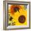 Sunflowers-DLILLC-Framed Photographic Print