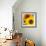 Sunflowers-DLILLC-Framed Photographic Print displayed on a wall