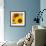 Sunflowers-DLILLC-Framed Photographic Print displayed on a wall