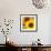 Sunflowers-DLILLC-Framed Photographic Print displayed on a wall