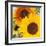 Sunflowers-DLILLC-Framed Photographic Print