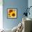 Sunflowers-DLILLC-Framed Photographic Print displayed on a wall