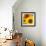 Sunflowers-DLILLC-Framed Photographic Print displayed on a wall