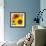 Sunflowers-DLILLC-Framed Photographic Print displayed on a wall