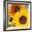 Sunflowers-DLILLC-Framed Photographic Print