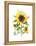 Sunflowers-Gwendolyn Babbitt-Framed Stretched Canvas