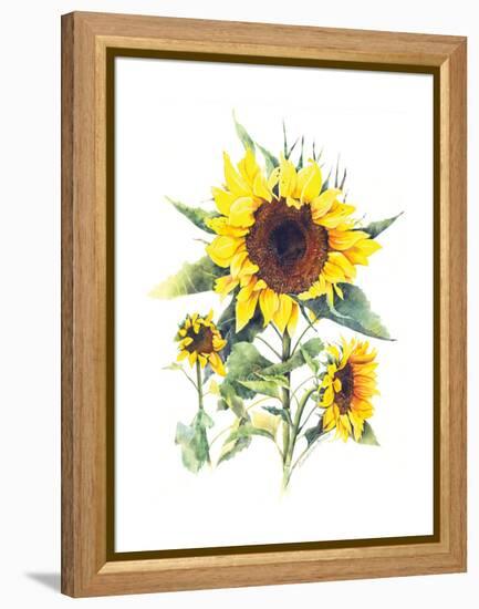 Sunflowers-Gwendolyn Babbitt-Framed Stretched Canvas