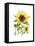 Sunflowers-Gwendolyn Babbitt-Framed Stretched Canvas