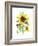 Sunflowers-Gwendolyn Babbitt-Framed Art Print