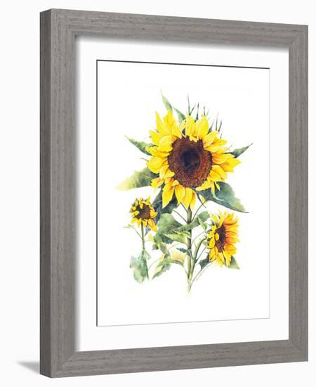 Sunflowers-Gwendolyn Babbitt-Framed Art Print