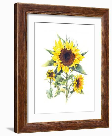 Sunflowers-Gwendolyn Babbitt-Framed Art Print