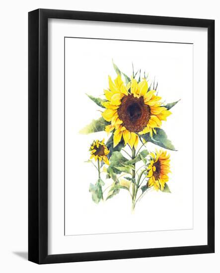 Sunflowers-Gwendolyn Babbitt-Framed Art Print