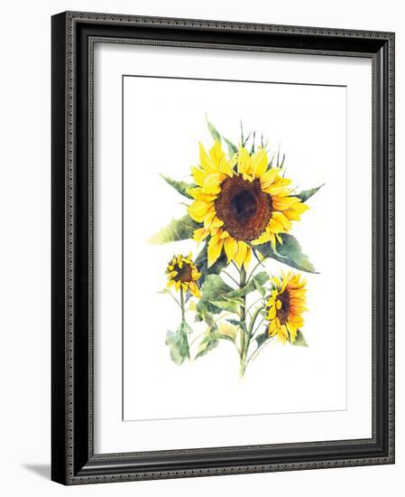 Sunflowers-Gwendolyn Babbitt-Framed Art Print