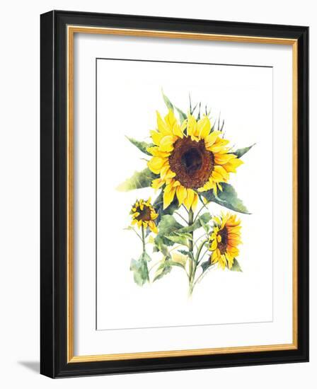 Sunflowers-Gwendolyn Babbitt-Framed Art Print