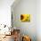 Sunflowers-SJ Travel Photo and Video-Photographic Print displayed on a wall