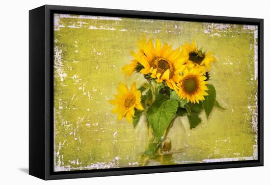 Sunflowers-Philippe Sainte-Laudy-Framed Premier Image Canvas