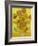 Sunflowers-Vincent van Gogh-Framed Art Print