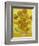 Sunflowers-Vincent van Gogh-Framed Art Print