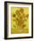 Sunflowers-Vincent van Gogh-Framed Art Print