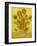 Sunflowers-Vincent van Gogh-Framed Art Print