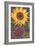 Sunflowers-null-Framed Art Print