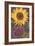 Sunflowers-null-Framed Art Print