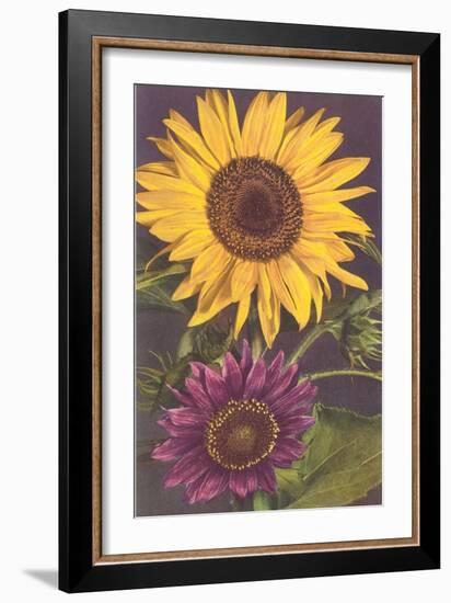 Sunflowers-null-Framed Art Print