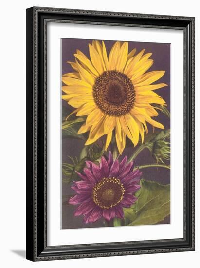 Sunflowers-null-Framed Art Print