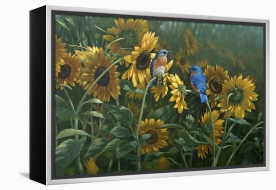 Sunflowers-Michael Jackson-Framed Premier Image Canvas