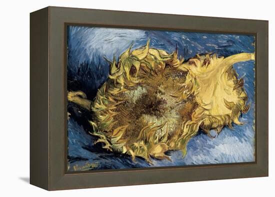 Sunflowers-Vincent van Gogh-Framed Stretched Canvas