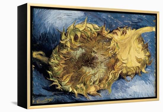 Sunflowers-Vincent van Gogh-Framed Stretched Canvas