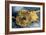 Sunflowers-Vincent van Gogh-Framed Art Print