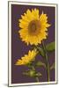 Sunflowers-Lantern Press-Mounted Art Print