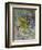 Sunflowers-Susan Ryder-Framed Giclee Print