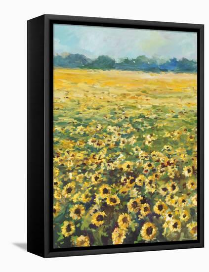 SUNFLOWERS-ALLAYN STEVENS-Framed Stretched Canvas