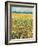 SUNFLOWERS-ALLAYN STEVENS-Framed Premium Giclee Print