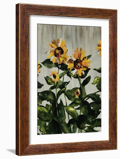 Sunflowers-Sydney Edmunds-Framed Giclee Print