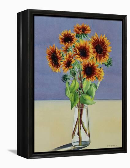 Sunflowers-Christopher Ryland-Framed Premier Image Canvas