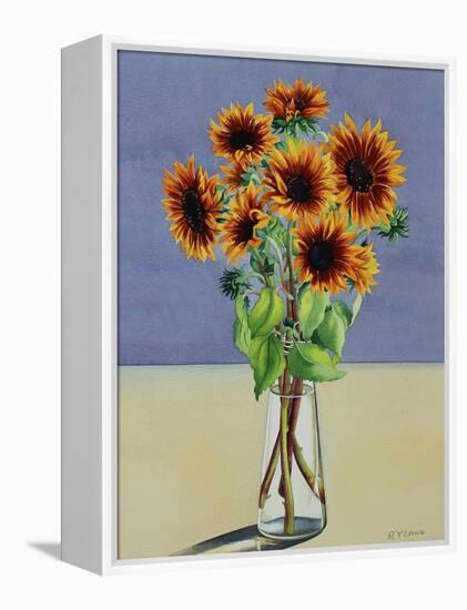 Sunflowers-Christopher Ryland-Framed Premier Image Canvas