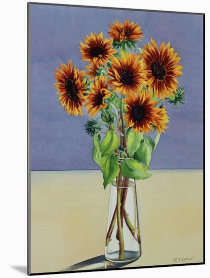 Sunflowers-Christopher Ryland-Mounted Giclee Print