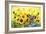 Sunflowers-Ata Alishahi-Framed Giclee Print