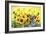 Sunflowers-Ata Alishahi-Framed Giclee Print