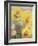 Sunflowers-Karen Armitage-Framed Giclee Print