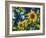 Sunflowers-Michelle Calkins-Framed Photo