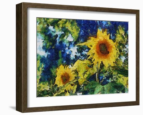 Sunflowers-Michelle Calkins-Framed Photo