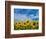 Sunflowers-Marco Carmassi-Framed Photographic Print