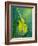 Sunken Dreams Cello-Michelle Faber-Framed Giclee Print